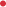 Online Status Indicator
